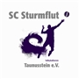 Logo SC Sturmflut Taunusstein e.V.